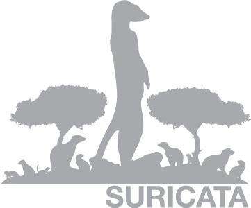 suricata IDS